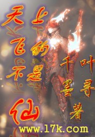 天上飞的不是仙